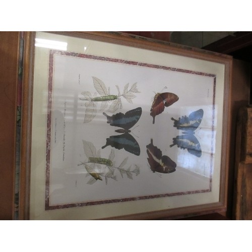 460 - 5 X BOTANICAL AND BUTTERFLY PRINTS INC A PAIR OF ORIGINAL STEEL ENGRAVINGS 1833 OF GRASSES FROM 