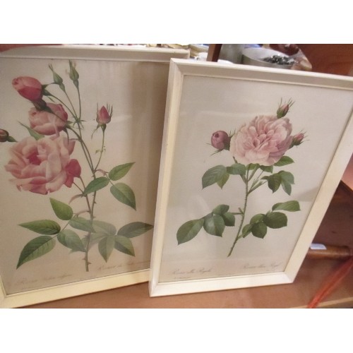 460 - 5 X BOTANICAL AND BUTTERFLY PRINTS INC A PAIR OF ORIGINAL STEEL ENGRAVINGS 1833 OF GRASSES FROM 