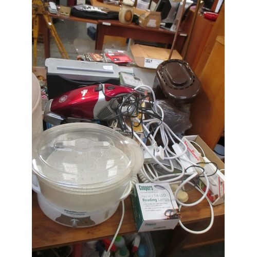 483 - QUANTITY OF ELECTRICALS INC PAPER SHREDDER, DIRT DEVIL, MOULINEX, READING LAMP, STEAMER, HAIRDRYER E... 