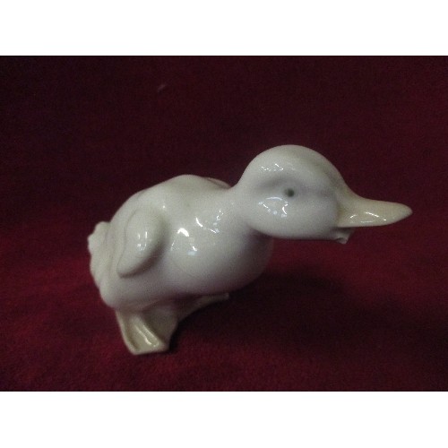 19 - NAO POLAR BEAR AND DUCK WITH CHIPPED BEAK