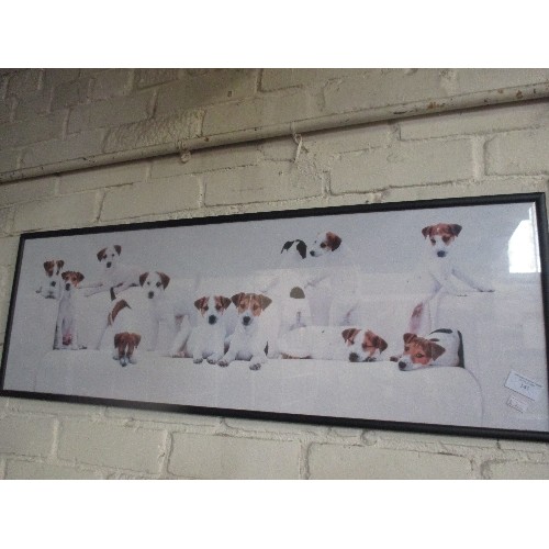 143 - JACK RUSSELL PUPPIES! LONG CONTEMPORARY FRAMED PHOTOGRAPH.