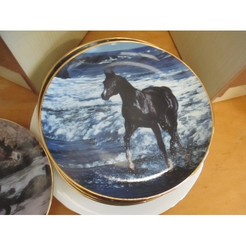 263 - LIMITED EDITION ROYAL WORCESTER 'RED RUM' PLATE. ALSO 9 EQUESTRIAN RELATED PLATES. ALL DANBURY MINT.