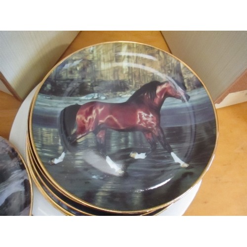 263 - LIMITED EDITION ROYAL WORCESTER 'RED RUM' PLATE. ALSO 9 EQUESTRIAN RELATED PLATES. ALL DANBURY MINT.