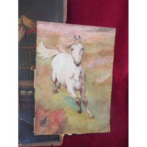 240 - 3 VINTAGE HAND PAINTED PICTURES, INCLUDES A WATERCOLOUR OF A WHITE STALLION. NO FRAMES.