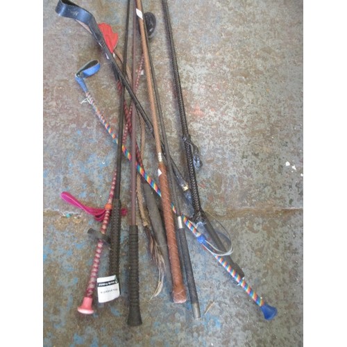 489 - 9 X HORSE WHIPS INC RIDING CROPS, LUNGE WHIPS, DRESSAGE WHIP