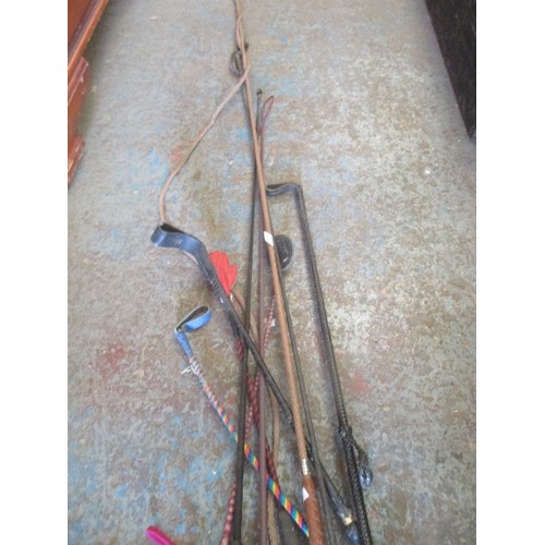 489 - 9 X HORSE WHIPS INC RIDING CROPS, LUNGE WHIPS, DRESSAGE WHIP