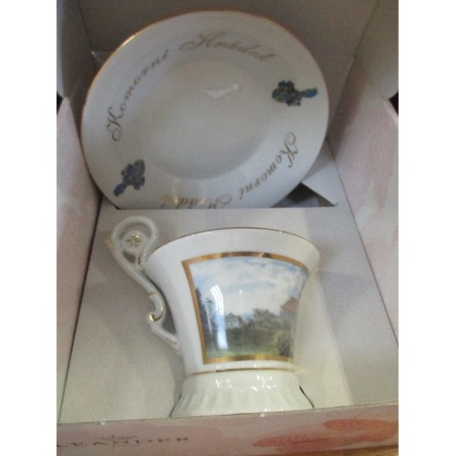 375 - LEANDER PORCELAIN CUP AND SAUCER SET BY JOHN PULLIMORE WITH BOX