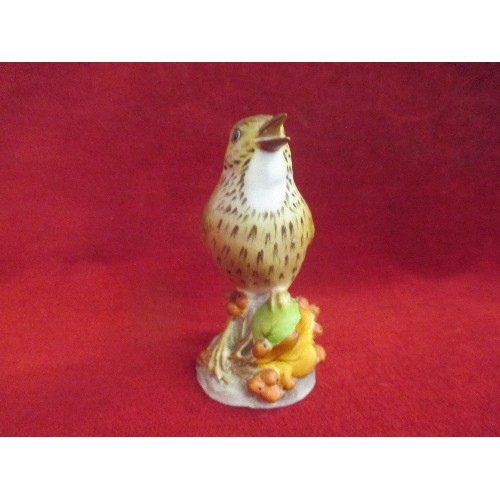 1 - ROYAL WORCESTER BONE CHINA THRUSH - MODEL 3234 - HAND PAINTED - 11CM - GOOD CONDITION