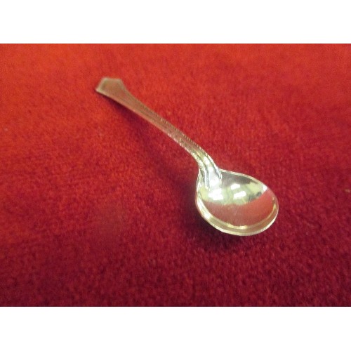 34 - CUT GLASS SALT WITH SILVER RIM, BIRM 1920, TOGETHER WITH A SILVER SALT SPOON BIRM 1904