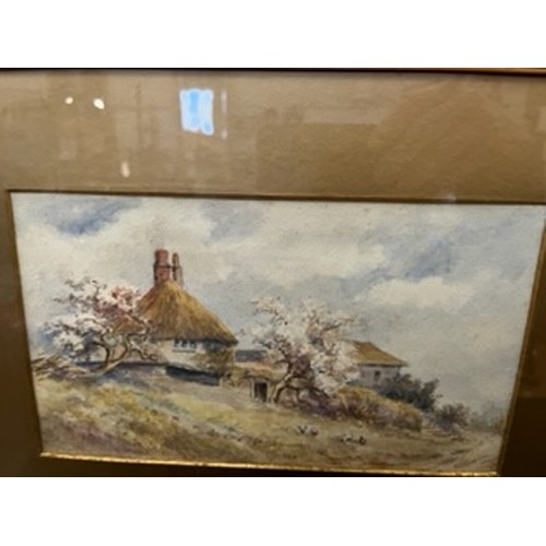 161 - ENGLISH SCHOOL LATE 19TH CENTURY WATERCOLOUR OF A THATCHED COTTAGE WITH HENS IN THE FOREGROUND. UNSI... 