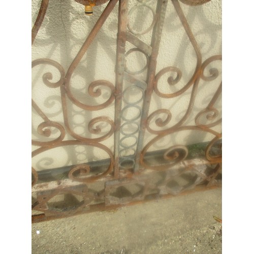 211A - VINTAGE WROUGHT IRON GATE, ORIGINALLY FROM CAIRO - WITH HINGES AND HANDLE  - SCROLL DESIGN AND OTTOM... 