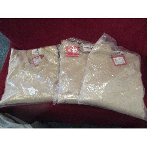 157 - 3 X BRAND-NEW DESIGNER ITALIAN V NECK JUMPERS BY DESIREE. SIZE LARGE.