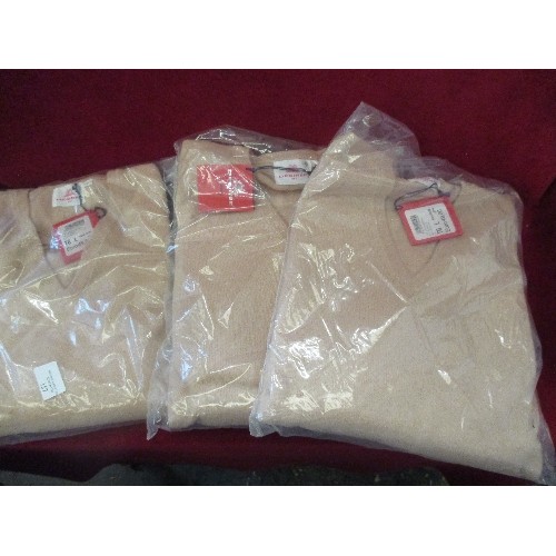 157 - 3 X BRAND-NEW DESIGNER ITALIAN V NECK JUMPERS BY DESIREE. SIZE LARGE.