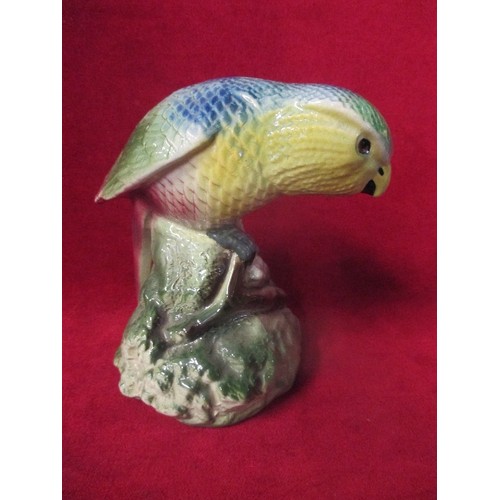 7 - VINTAGE CIRCA 1930'S HILLSTONIA POTTERY (HILL OUSTON CO) PARROT - 19CM