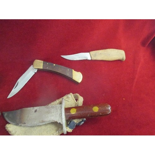 50 - 4 MIXED KNIVES - VINTAGE WITH WOODEN HANDLE, HORN HANDLE AND 2 OTHERS