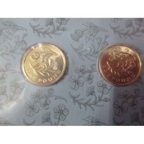 28 - THE FLORAL 2014 UK £1 TWO COIN SET - SCOTLAND AND NORTHERN IRELAND