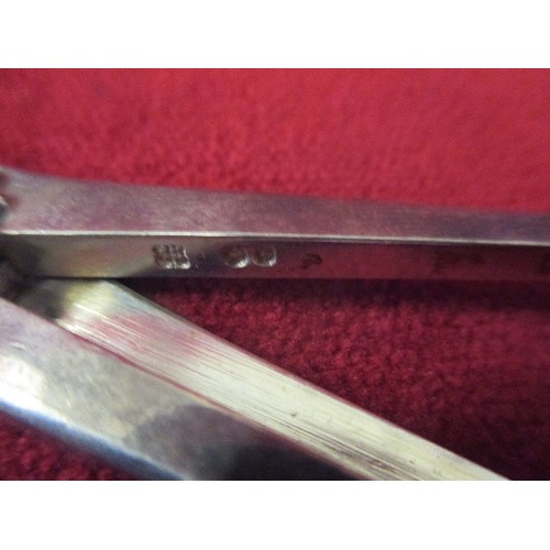 144 - A GOOD PAIR OF VICTORIAN STERLING SILVER GRAPE SCISSORS, THE HANDLES ENGRAVED WITH FOLIATE DESIGN AN... 