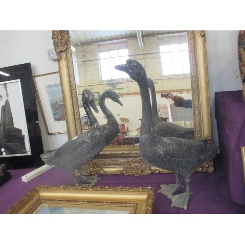 179A - A STUNNING PAIR OF MID 20TH CENTURY SPELTER SWANS - ALMOST FULL SIZE - 73CM H. HAVE BEEN IN A GARDEN... 