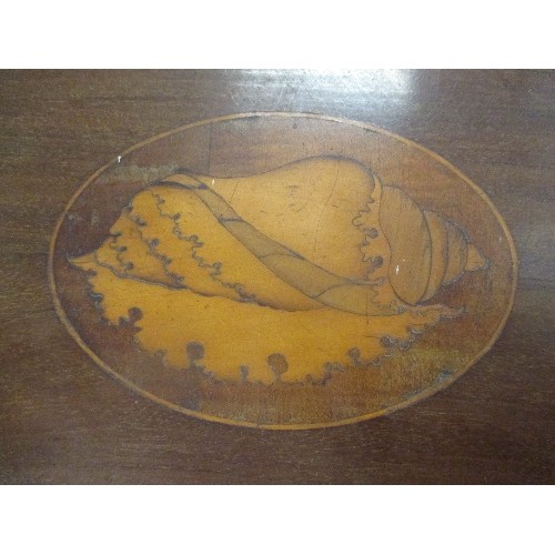 204 - A VERY GOOD EARLY 19TH CENTURY MAHOGANY TRAY WITH BRASS HANDLES AND PIE CRUST GALLERY. INLAID WITH M... 