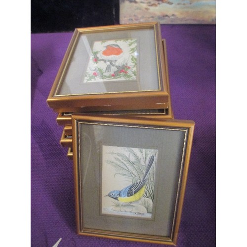 168 - A COLLECTION OF 13 x J & J CASH COVENTY WOVEN SILK BIRD PICTURES - BRITISH GARDEN BIRDS - ALL FRAMED... 