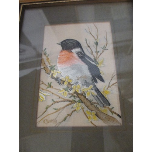 168 - A COLLECTION OF 13 x J & J CASH COVENTY WOVEN SILK BIRD PICTURES - BRITISH GARDEN BIRDS - ALL FRAMED... 