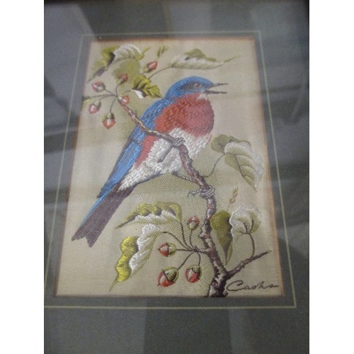 168 - A COLLECTION OF 13 x J & J CASH COVENTY WOVEN SILK BIRD PICTURES - BRITISH GARDEN BIRDS - ALL FRAMED... 