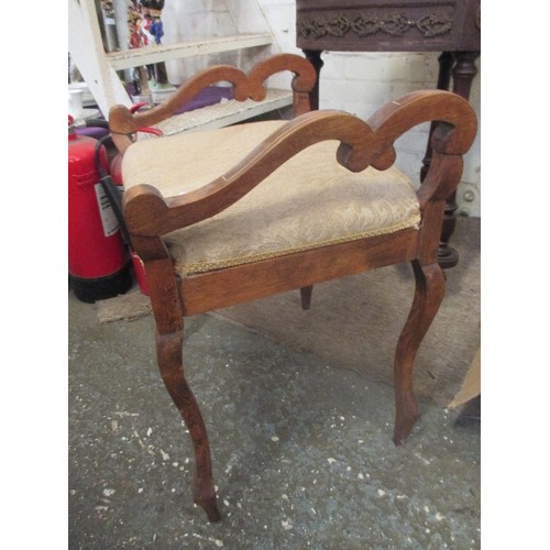 207 - A 1920'S MAHOGANY FRAMED PIANO STOOL ON CABRIOLE LEGS & SHAPED SIDE RAILS