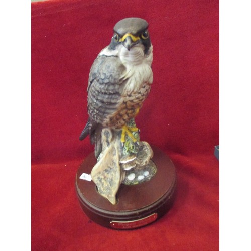 20 - A ROYAL DOULTON LIMITED EDITION PEREGRINE FALCON - SIGNED BY THE SCULPTOR GRAHAM TOnGUE - HN3541, IS... 