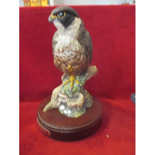 20 - A ROYAL DOULTON LIMITED EDITION PEREGRINE FALCON - SIGNED BY THE SCULPTOR GRAHAM TOnGUE - HN3541, IS... 