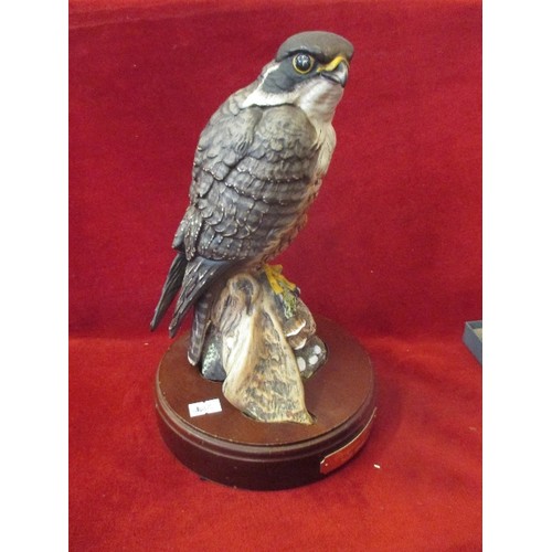 20 - A ROYAL DOULTON LIMITED EDITION PEREGRINE FALCON - SIGNED BY THE SCULPTOR GRAHAM TOnGUE - HN3541, IS... 