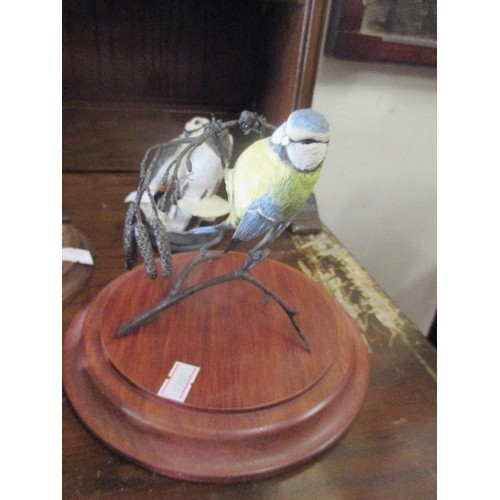 263D - COLLECTION OF BIRD FIGURES INCLUDING KINGFISHER, ROBIN BLUE TIT, SPOTTED WOODPECKER ETC