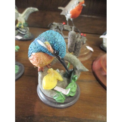 263D - COLLECTION OF BIRD FIGURES INCLUDING KINGFISHER, ROBIN BLUE TIT, SPOTTED WOODPECKER ETC