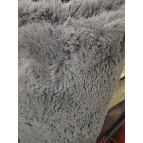 134 - GREY RUG - 