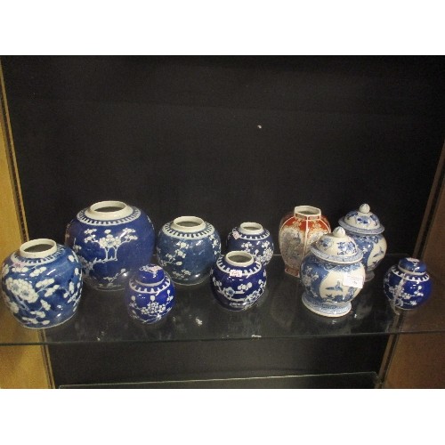 159 - CHINESE GINGER JARS - SOME HAVE DAMAGE