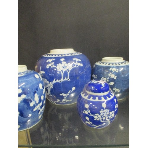 159 - CHINESE GINGER JARS - SOME HAVE DAMAGE