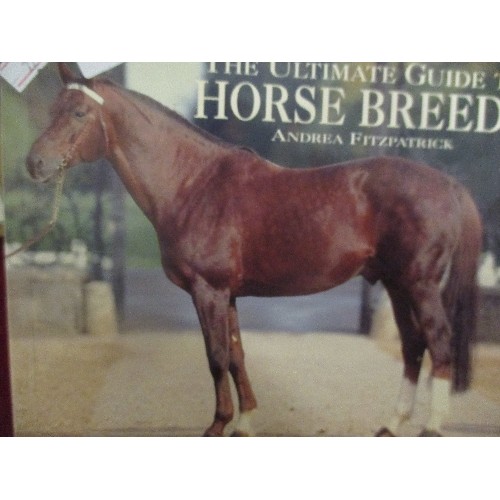 102 - 4 GOOD QUALITY HORSE/EQUINE BOOKS. INC 'THE ULTIMATE GUIDE TO HORSE BREEDS' AND 'THE HORSE CARE MANU... 