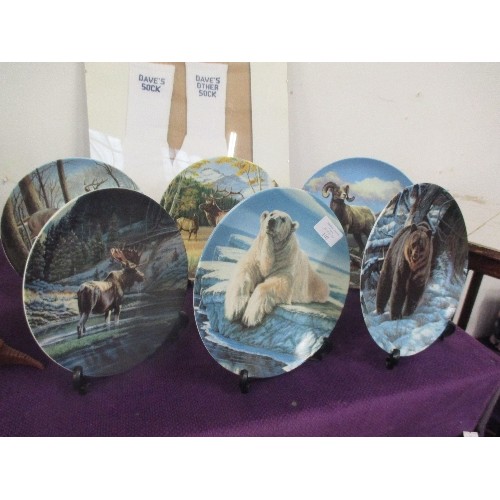 108 - SET OF 6 LIMITED EDITION, BEAUTIFUL CANADIAN WILDLIFE FEDERATION PLATES, BY PAUL KRAPF. EACH FEATURE... 