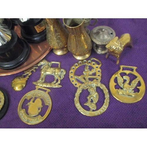 123 - VINTAGE BRASSWARE, INCLUDES PAIR OF SMALL VASES, TROPHYS, HORSE BRASSES, ALSO TOASTING FORKS ETC. TO... 