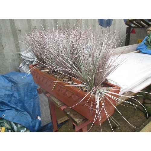 650 - HEAVY TERRCOTTA TROUGH WITH 5 ARTIFICIAL GRASSES