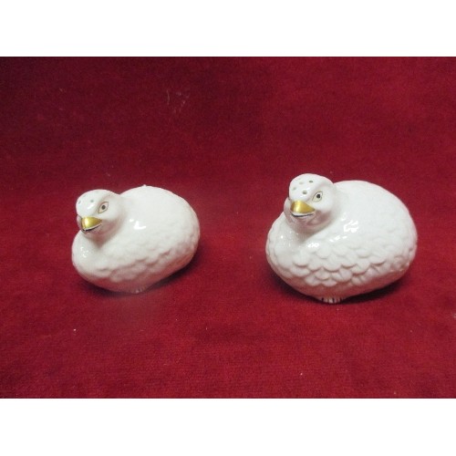 32A - AYNSLEY BONE CHINA WHITE DOVE SALT AND PEPPER SHAKERS 6CM X 9CM