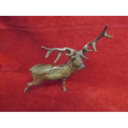 36A - FOUR EARLY 20TH CENTURY COLD PAINTED SPELTER STAGS, PROBABLY VIENNA. 3 HAVE DAMAGE OR REPAIRS. TALLE... 