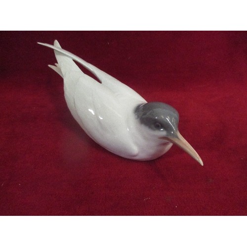 76 - A ROYAL COPENHAGEN PORCELAIN TERN WITH REPAIR TO TAIL WING - 27CM