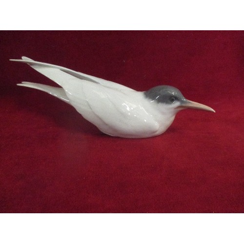 76 - A ROYAL COPENHAGEN PORCELAIN TERN WITH REPAIR TO TAIL WING - 27CM