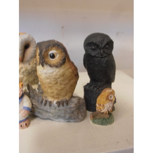 79 - COLLECTION OF OWLS. VARIOUS STYLES AND SIZES.