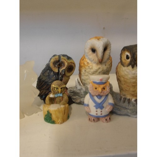 79 - COLLECTION OF OWLS. VARIOUS STYLES AND SIZES.