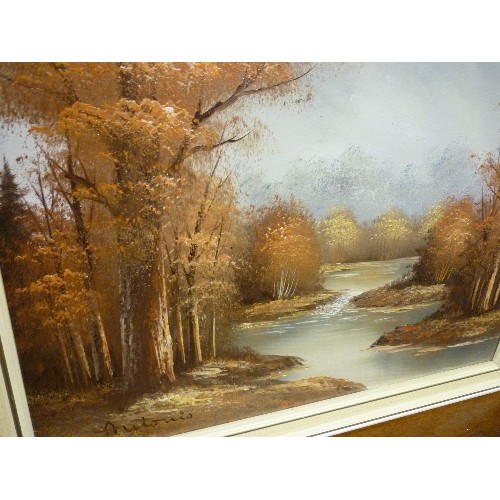 481 - OIL PAINTING ON CANVAS OF AN AUTUMNAL RIVER BANK SCENE SIGNED 