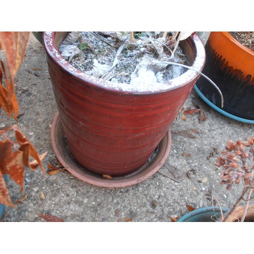 523 - LARGE RED EARTHENWARE PLANT POT