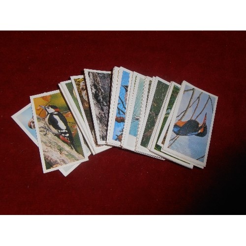 2 - THE COLLECTORS EDITION COMPLETE SET OF 50 CIGARETTE CARDS ORIGINALLY ISSUED WITH BLACK CAT CIGARETTE... 