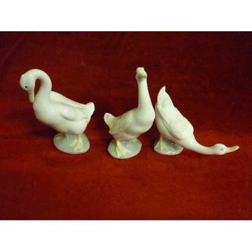 62B - 3 NAO GOOSE FIGURES