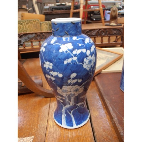 165 - A LARGE 19TH CENTURY CHINESE BLUE AND WHITE BALUSTER SHAPED PRUNUS VASE WITH KANGXI FOUR CHARACTER M... 